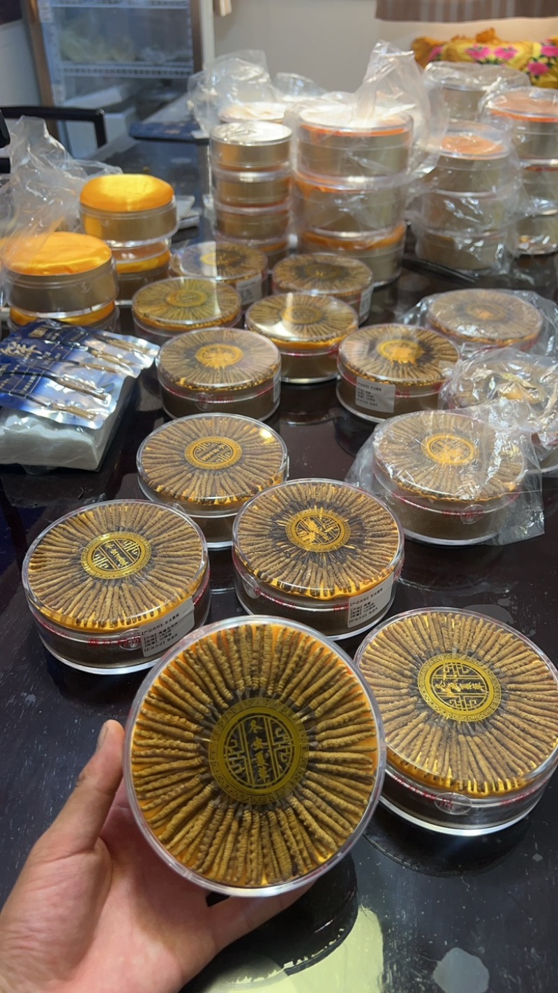 2500条精品野生虫草，1盒100根，送礼送健康
