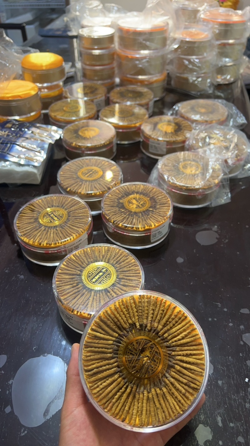 2500条精品野生虫草，1盒100根，送礼送健康