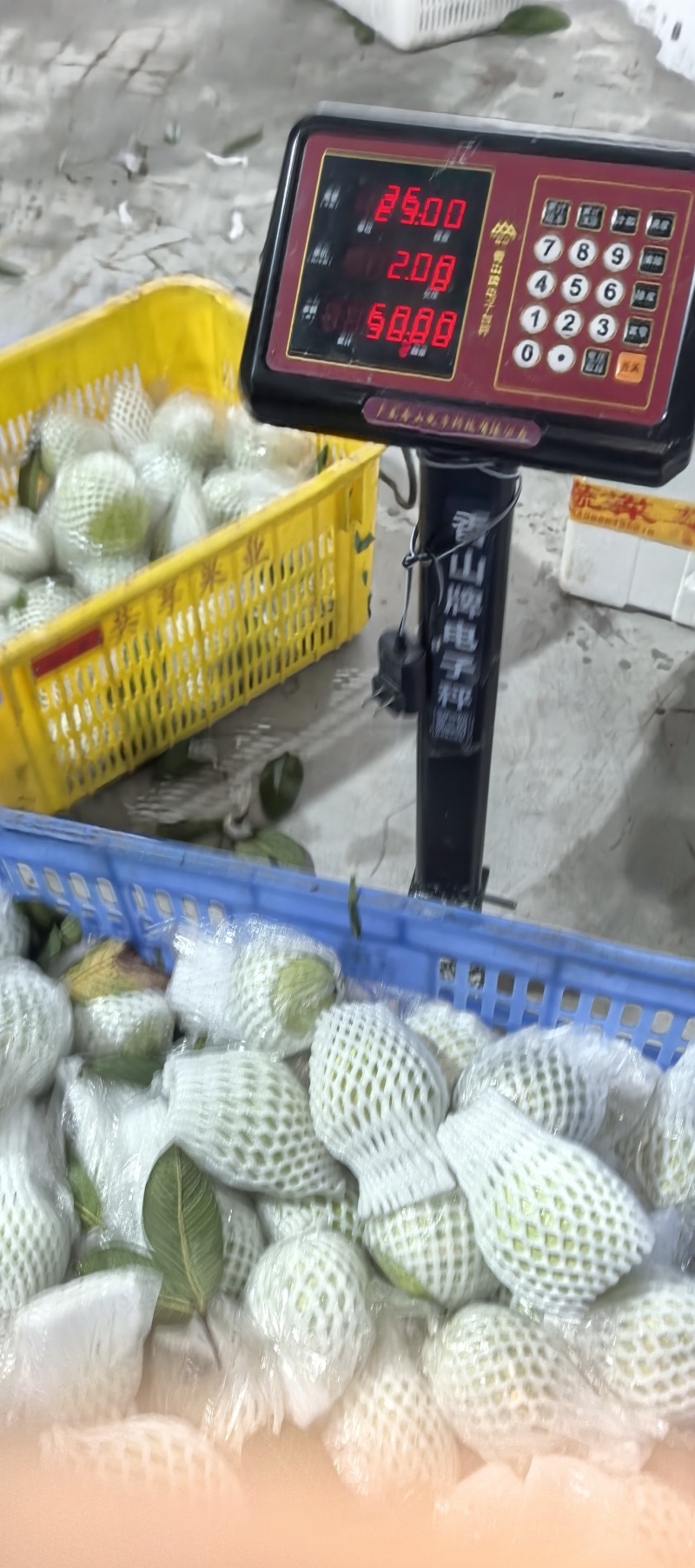 番石榴红心芭乐瑕疵果处理