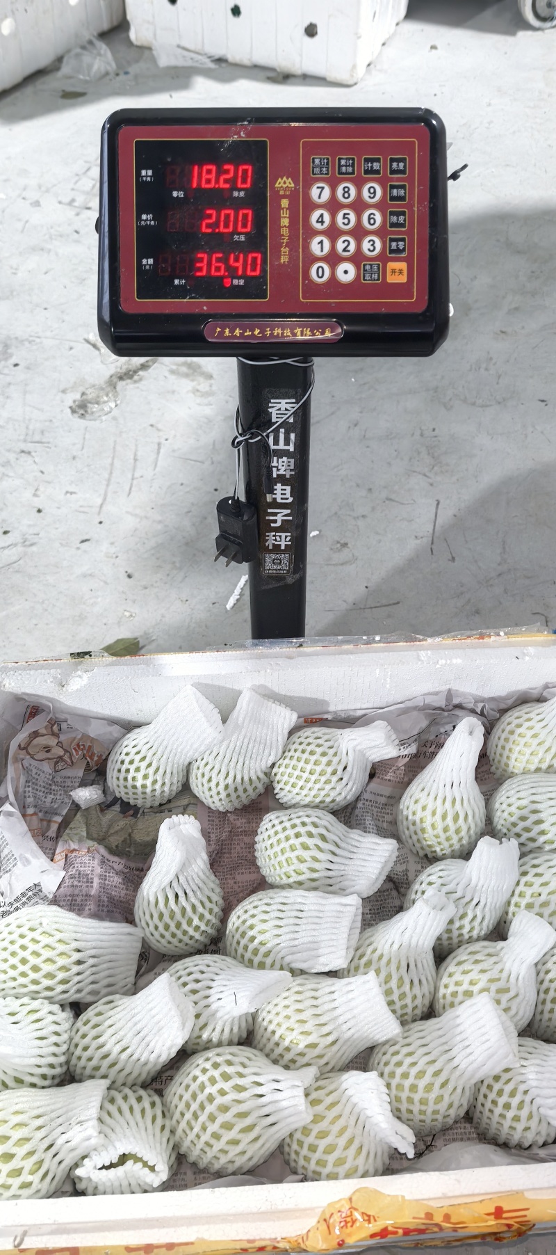 番石榴红心芭乐瑕疵果处理