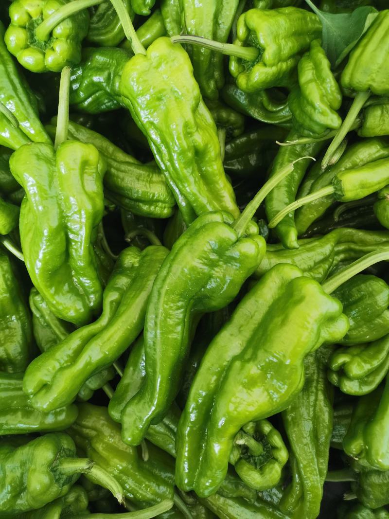 泡椒