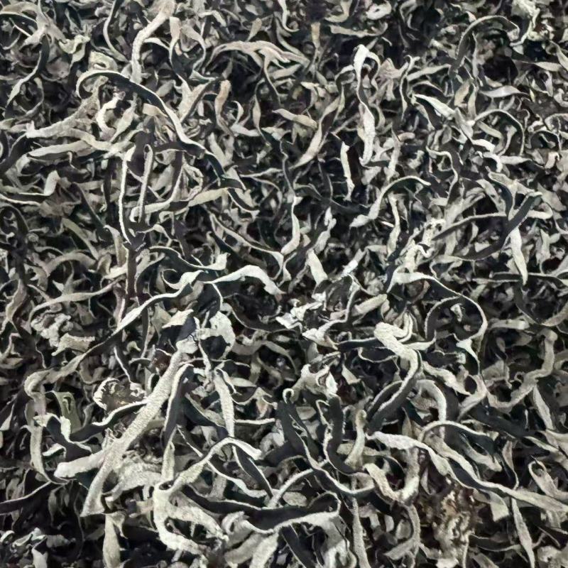 精品白背木耳丝厂家直销螺蛳粉专用