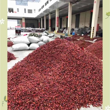 贵州辣椒