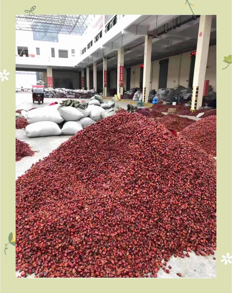 贵州辣椒