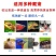 杜比蟑螂活虫活体饲料龙鱼蜥蜴守宫活动冲量便宜鲜活可食用