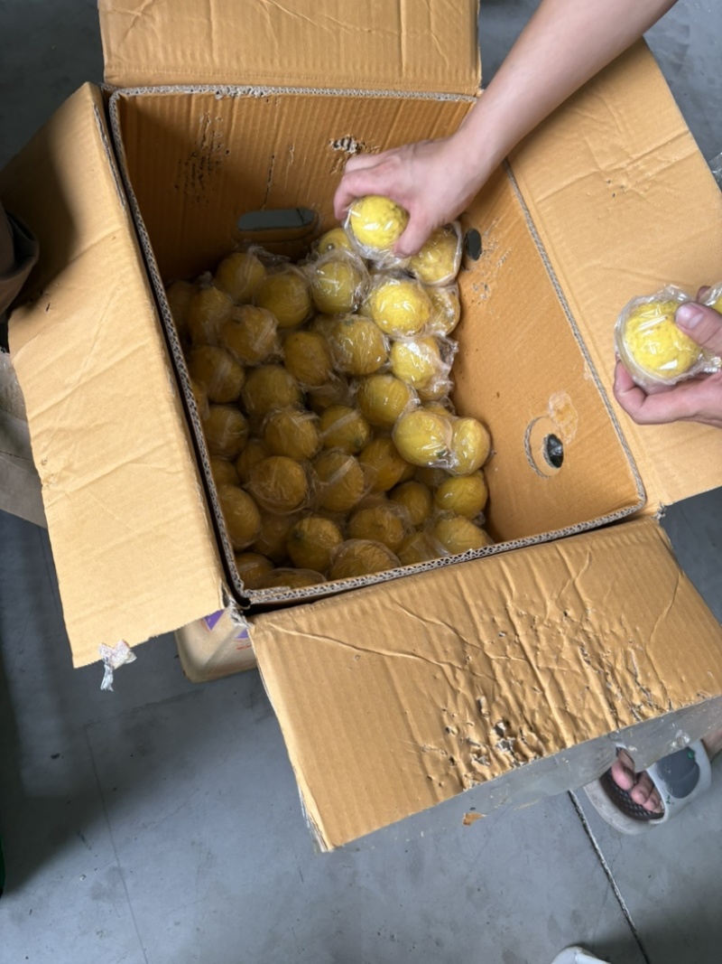 四川安岳尤力克精品柠檬电商一件代发和对接市场批发