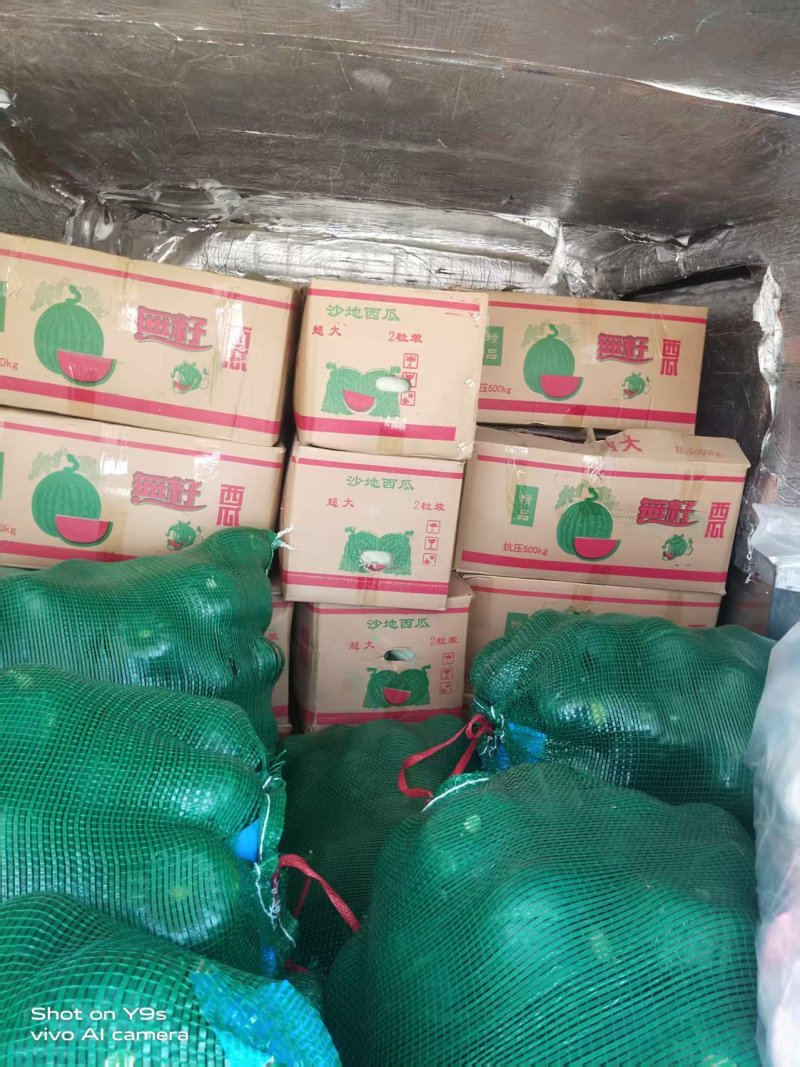 山东产地地爬贝贝南瓜新货粉面甜量大价格可谈
