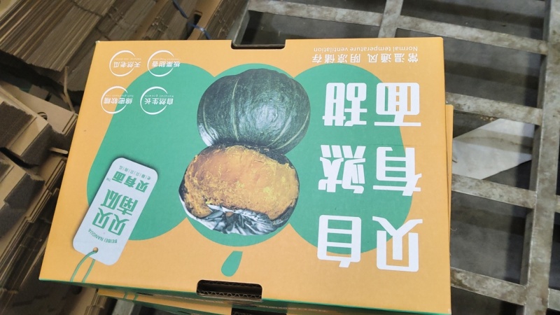 山东产地地爬贝贝南瓜新货粉面甜量大价格可谈