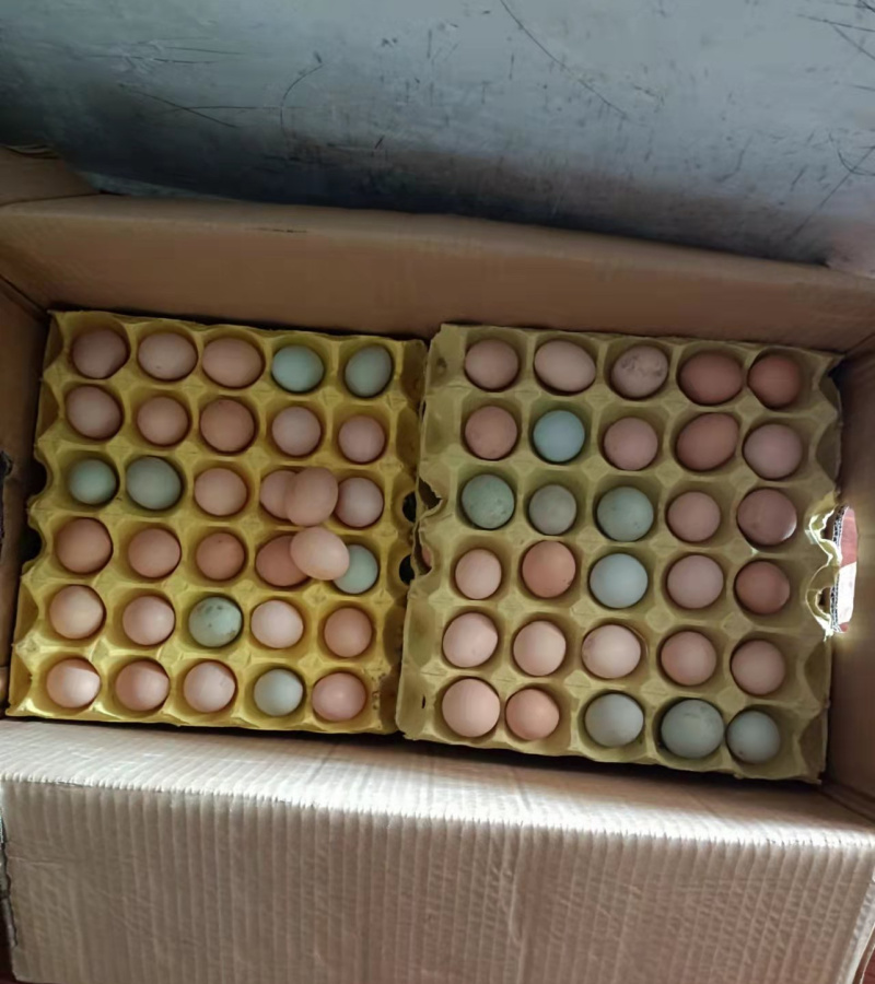 新鲜土鸡蛋，有需要的老板可以联系我