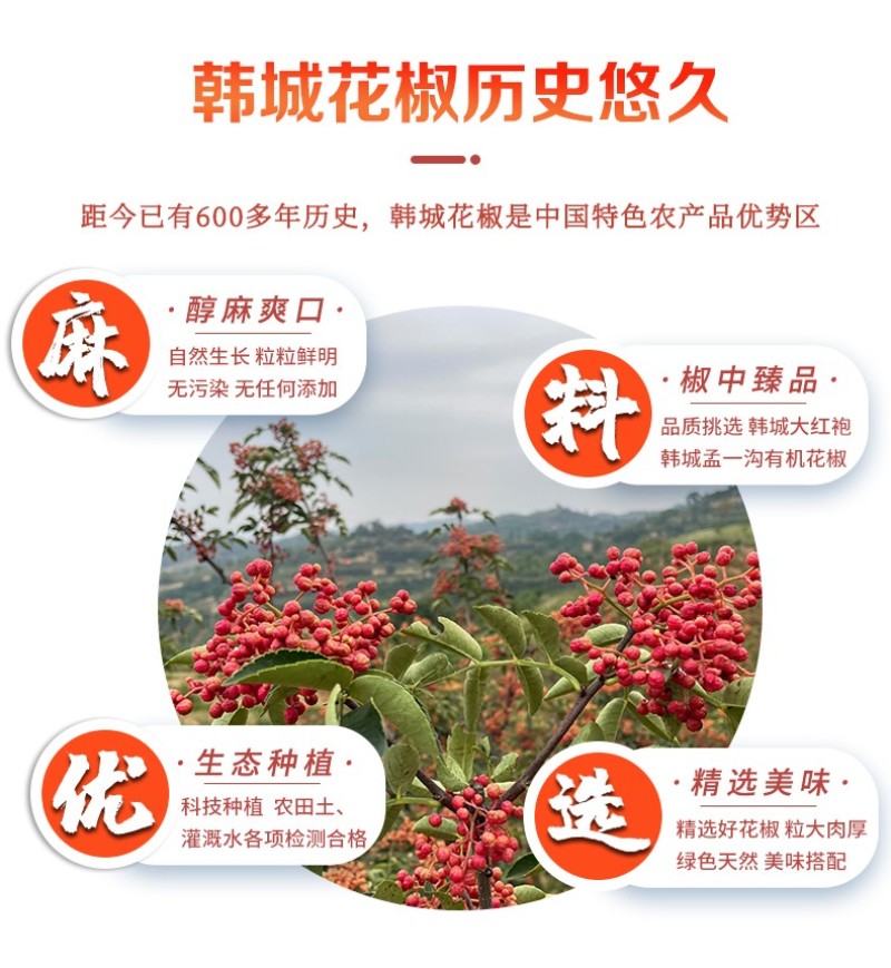 韩城特级大红袍花椒