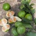 云南高原蜜桔，一手货源，保质保量，可视频看货，量大从优