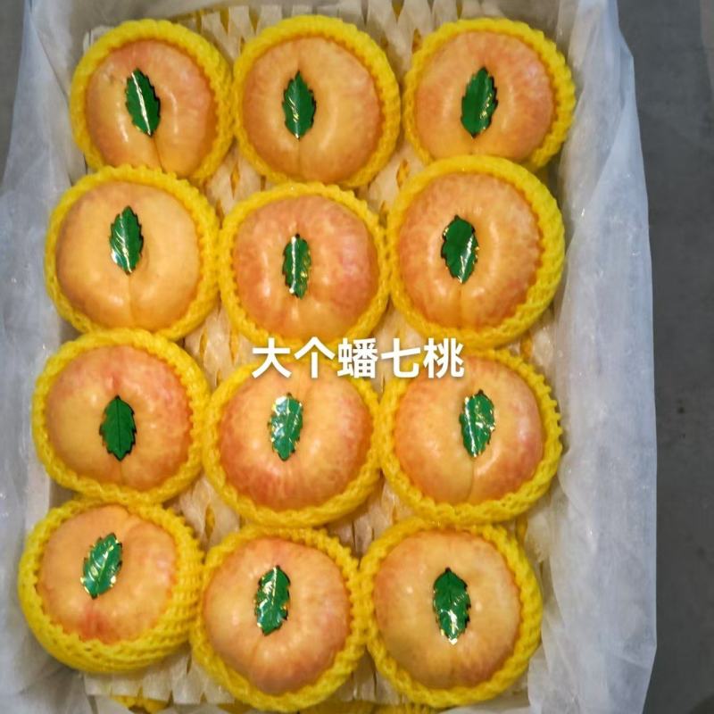 目前油蟠七桃大量上市，有需要的老板通过一亩田和我联系，好