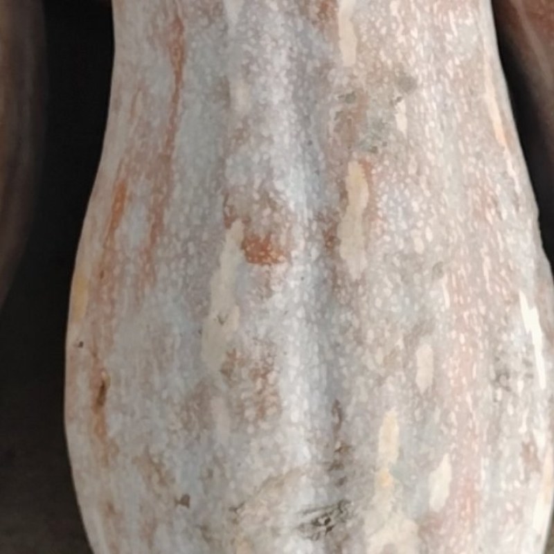 好吃的南瓜