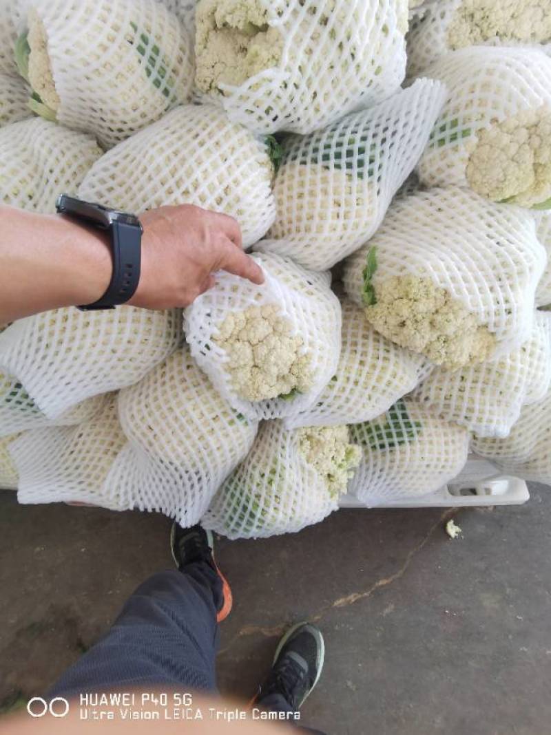 欢迎老板来看货