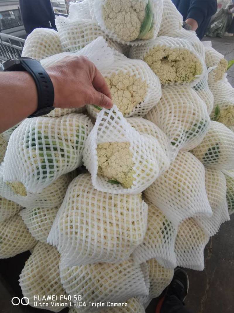 欢迎老板来看货