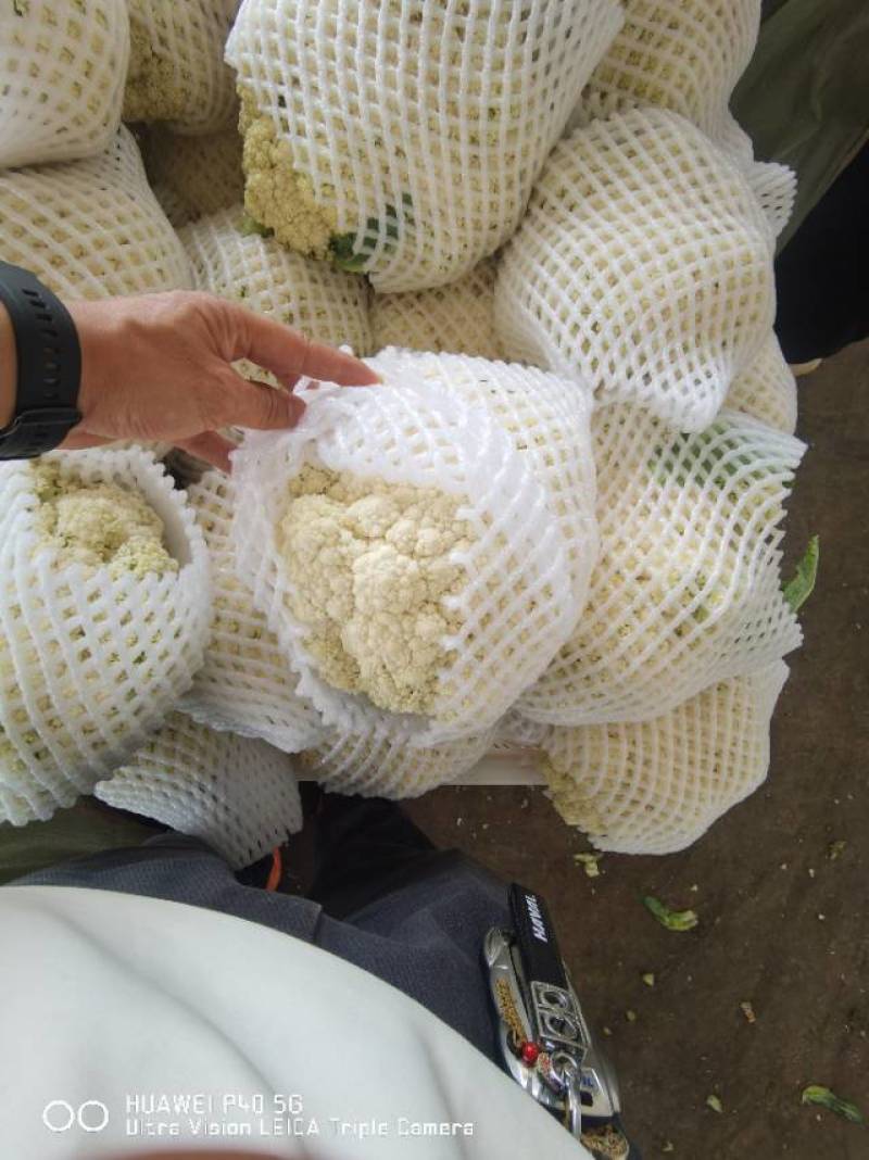 欢迎老板来看货