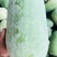 精品水果冬瓜一串铃冬瓜产地直发实力代办代收全国发货