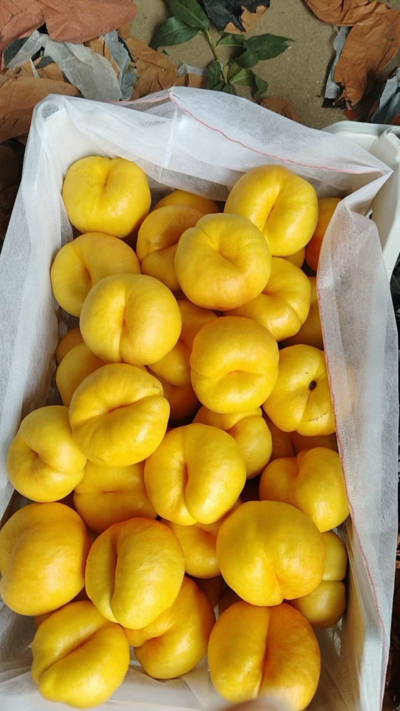 沂蒙山各种油蟠桃大量上市，有7-7，油七个头大质量好