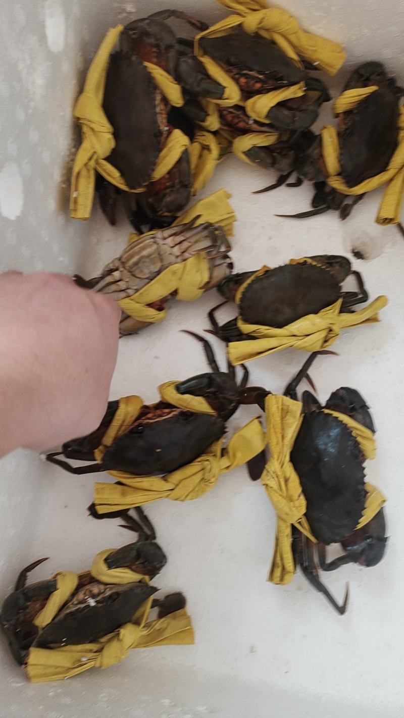 都是精品货