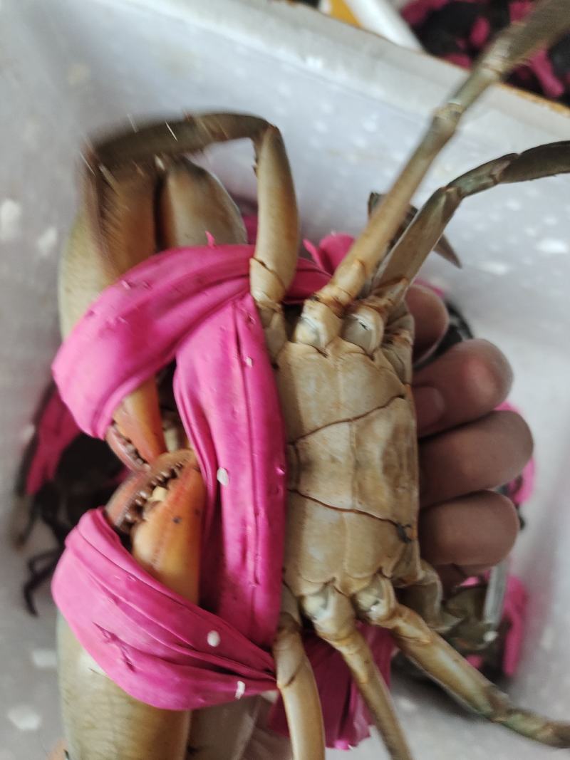 都是精品货