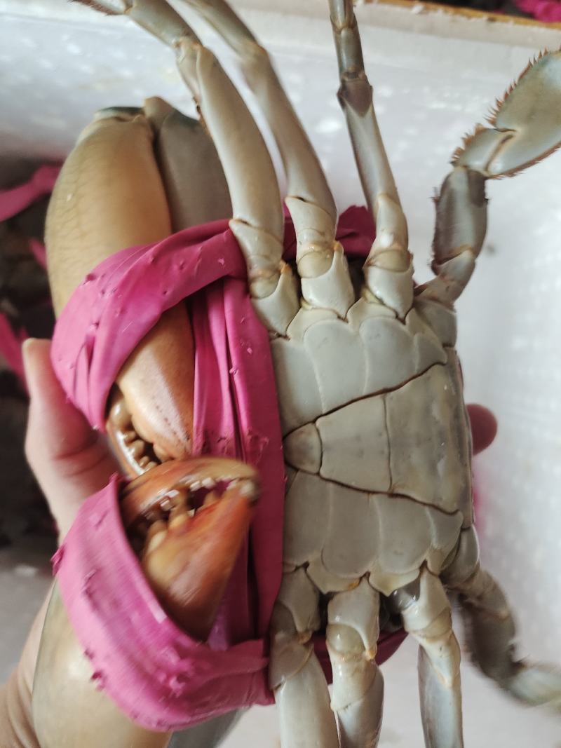 都是精品货
