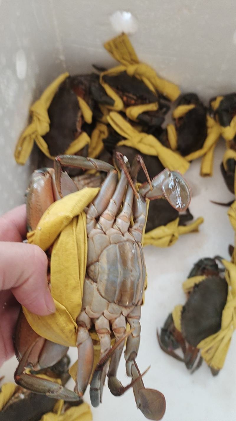 都是精品货