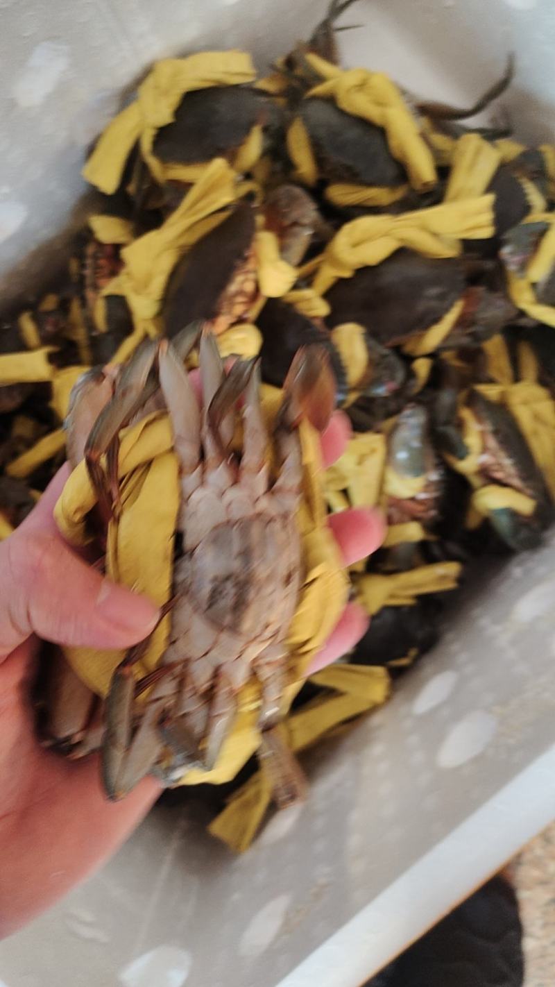 都是精品货