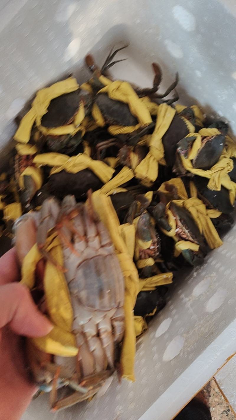 都是精品货