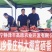 纯口感西红柿