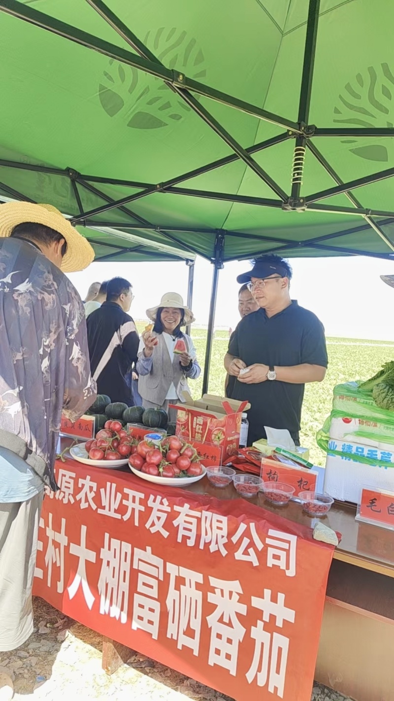 纯口感西红柿