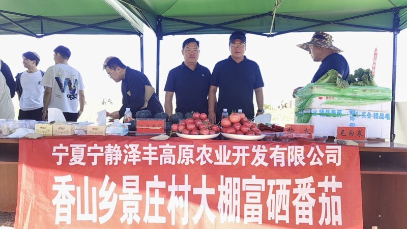 宁夏泽丰