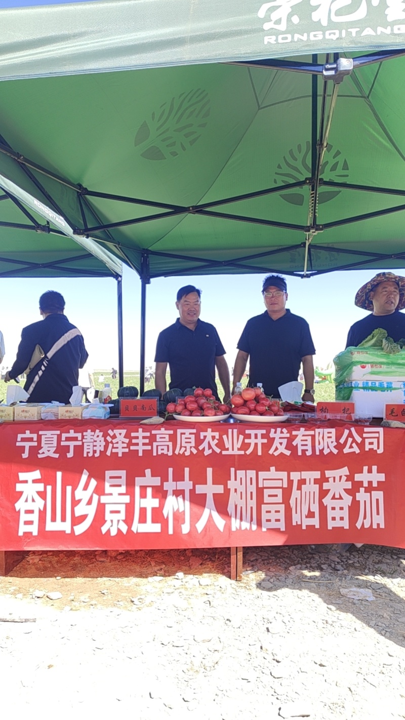 宁夏泽丰
