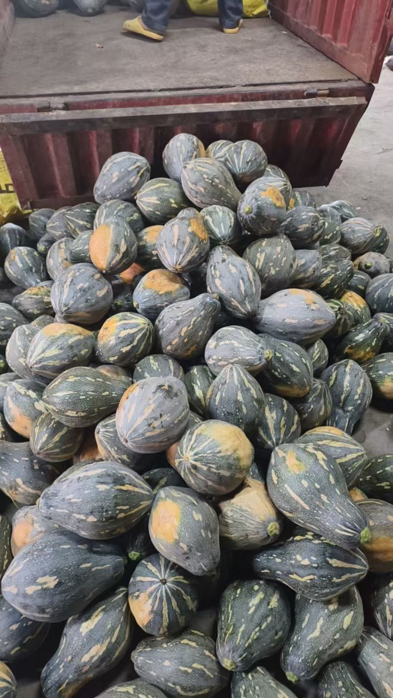 湖南精品香芋南瓜香味十足够粉，诚信经营有回头车