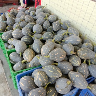广西精品香芋南瓜香味十足够粉，诚信经营有回头车