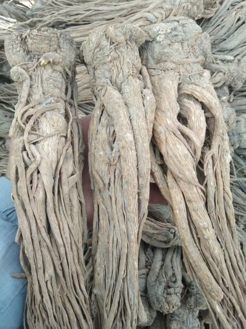 【当归】甘肃当归/陇西县当归佛手片/产地直发便宜