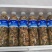 野生金蝉，现货现发，电商市场都能发货。