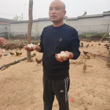 土鸡蛋
