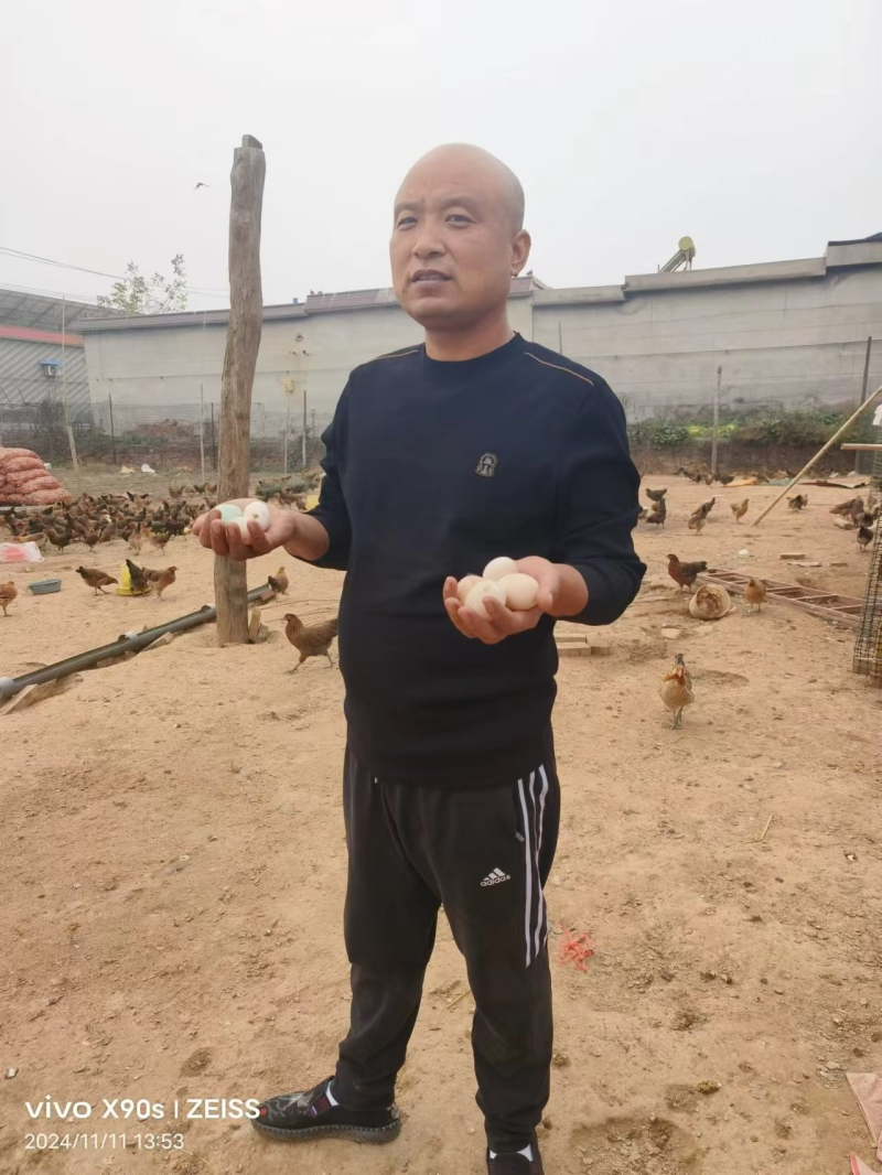 土鸡蛋