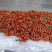 精品小米辣，产地直供，现在大量上市中，价格美丽，