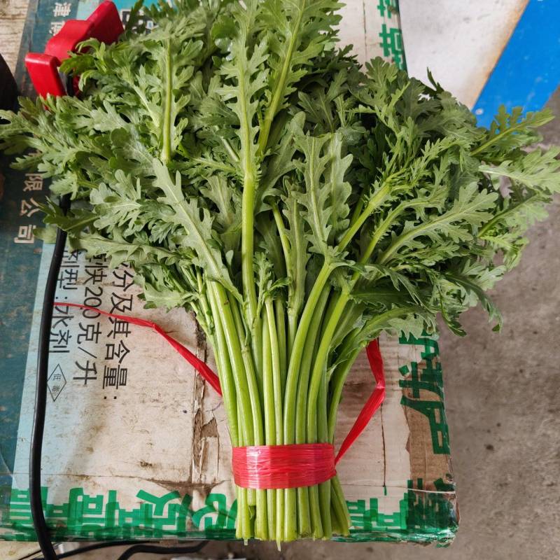精品茼蒿