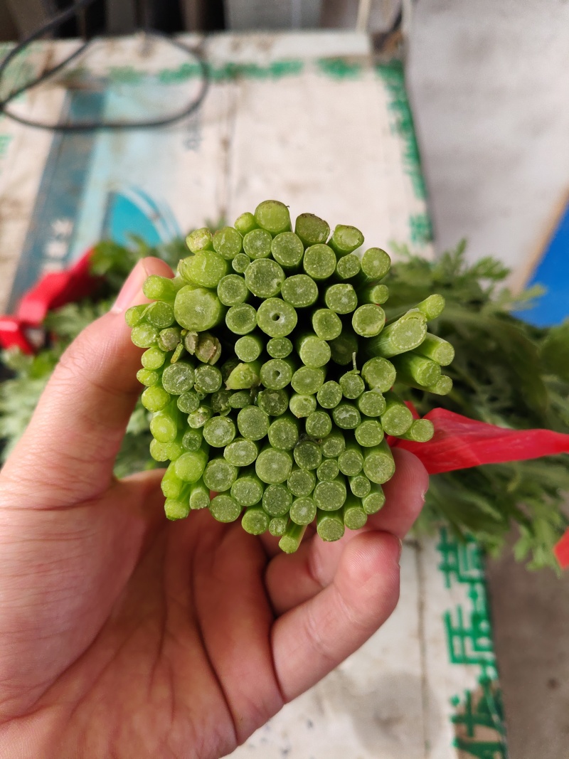 精品茼蒿