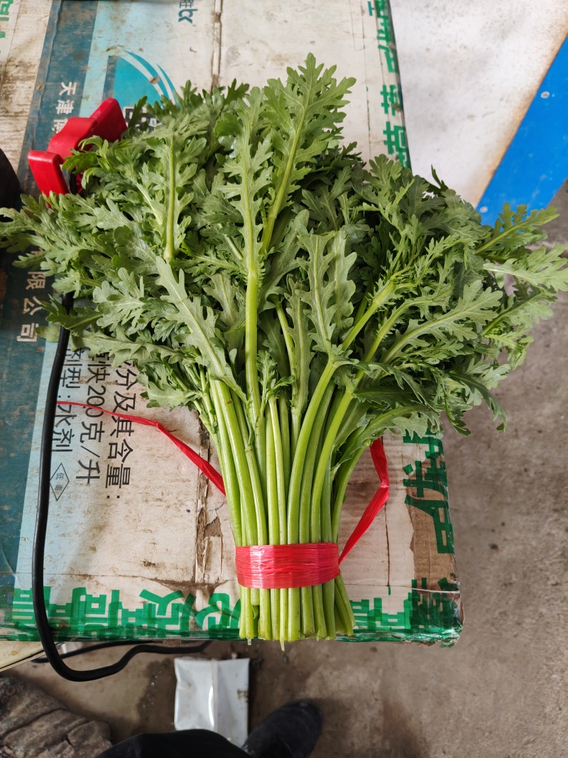精品茼蒿