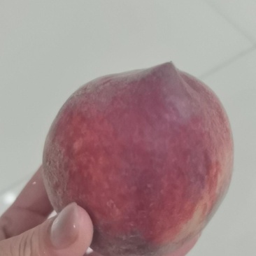 果肉饱满老甜了