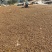 自有基地加工销售批量价格优惠支持一件5升起发