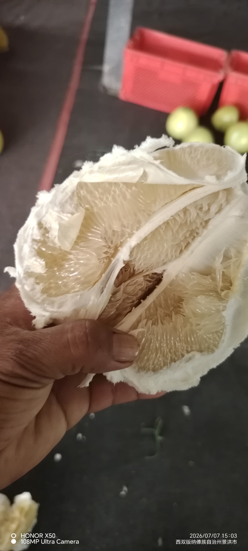 西双版纳东试早，精品柚子白柚产地直发货源充足品质保证