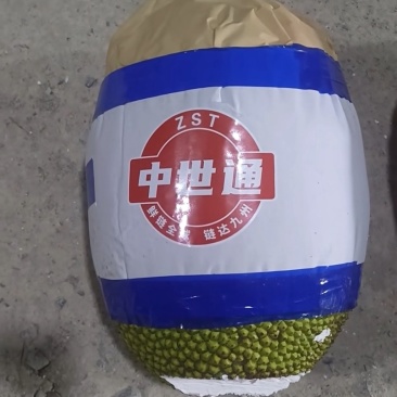 泰8菠萝蜜