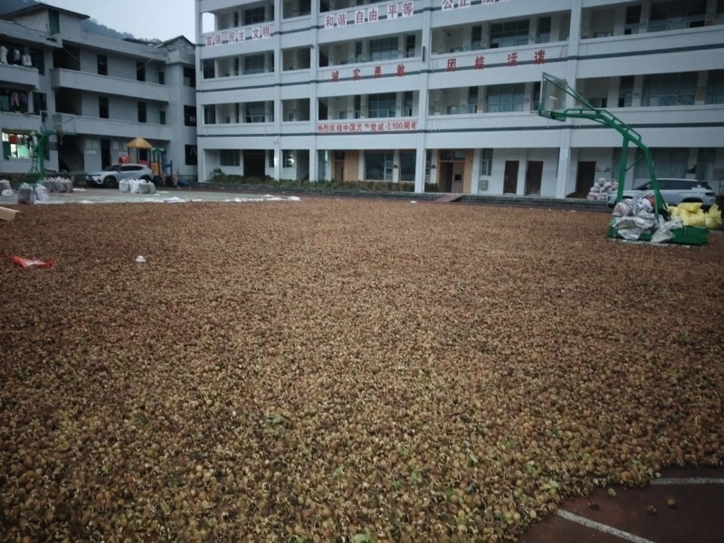 自有基地加工销售批量价格优惠支持一件一升代发