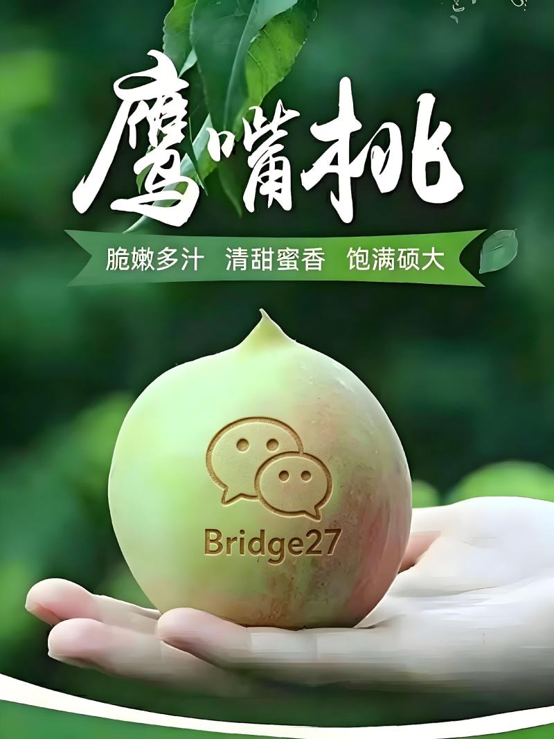 鹰嘴桃广东省内包邮