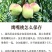 鹰嘴桃广东省内包邮