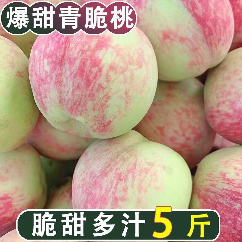 蜜桃新鲜水果产地直发桃子当季水果多汁整箱
